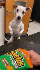 When You Don't Want to Go on a Diet