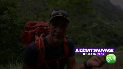 A l’état sauvage - 1er octobre