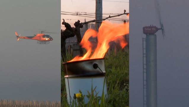 Helicopters, fires and turbines: Vineyards fight the spring frost
