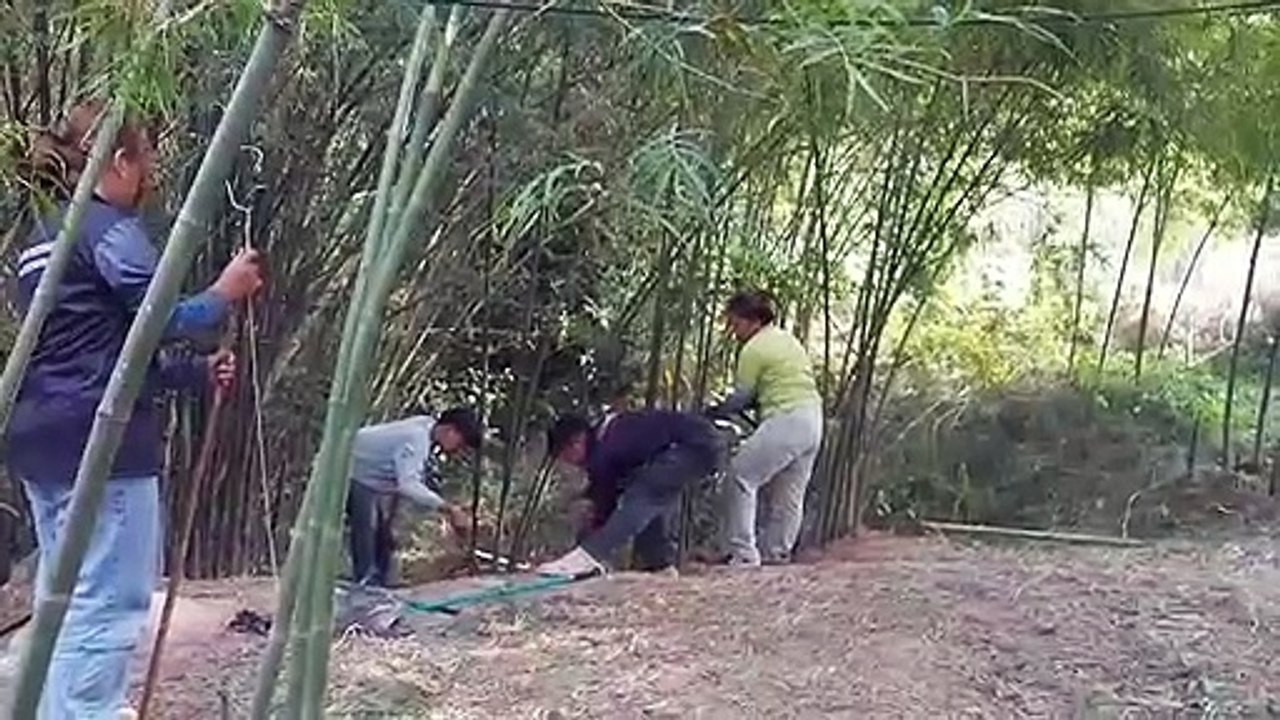 ผงะ..ชาวบ้านออกตัดหน่อไม้พบงูจงอางยักษ์(ชมคลิป)