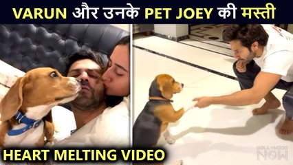 So Adorable! Varun Dhawan Plays With His Pet Joey, Wife Natasha Kisses Him
