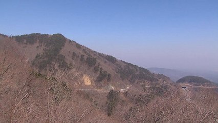 충남 예산에서 산불...1시간 10분 만에 꺼져 / YTN