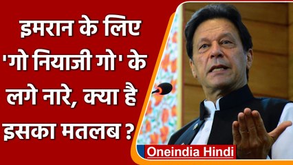 Imran Khan को Niazi कहकर क्यों चिढ़ाया जाता है? जानें इसके पीछे की दिलचस्प कहानी | वनइंडिया हिंदी