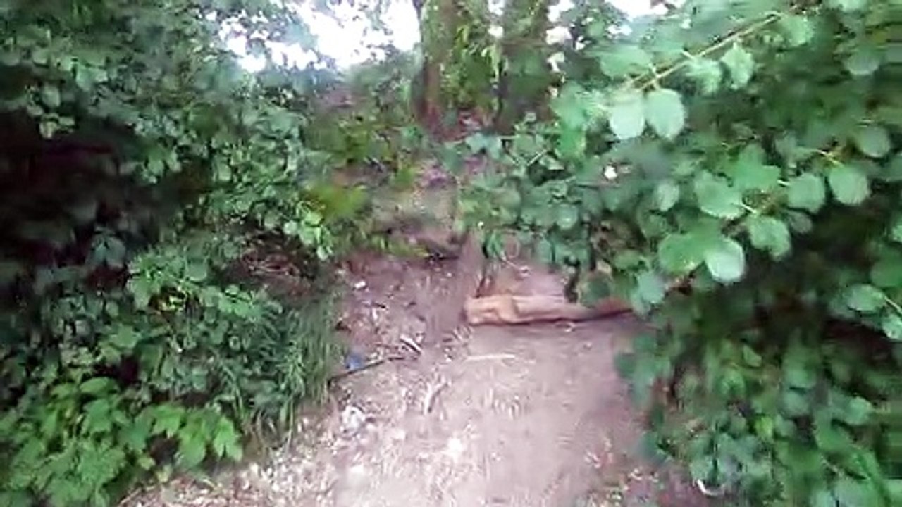 CSX Railroad Line Hemlock Park Dearborn