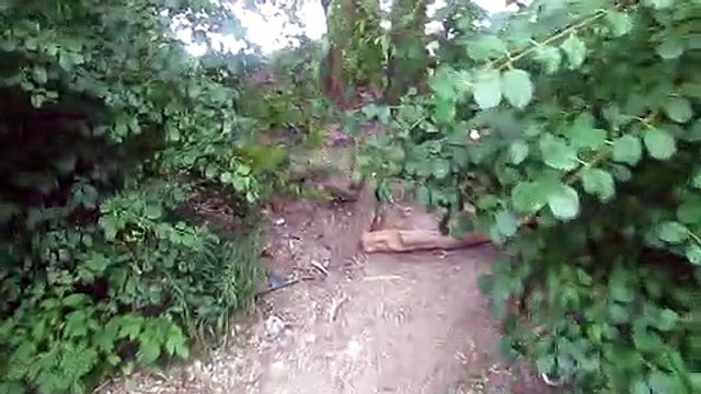 CSX Railroad Line Hemlock Park Dearborn