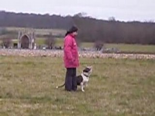 9 mars 2008 chouchou suite sans laisse 2