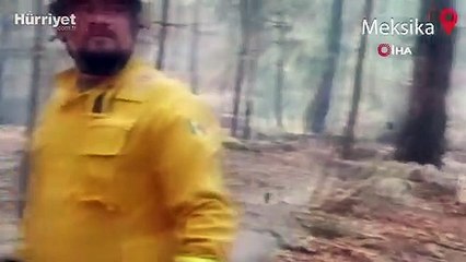 Meksika’da 71 orman yangınıyla zorlu mücadele devam ediyor