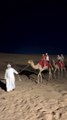 Desert safari Dubai tour, sand adventures