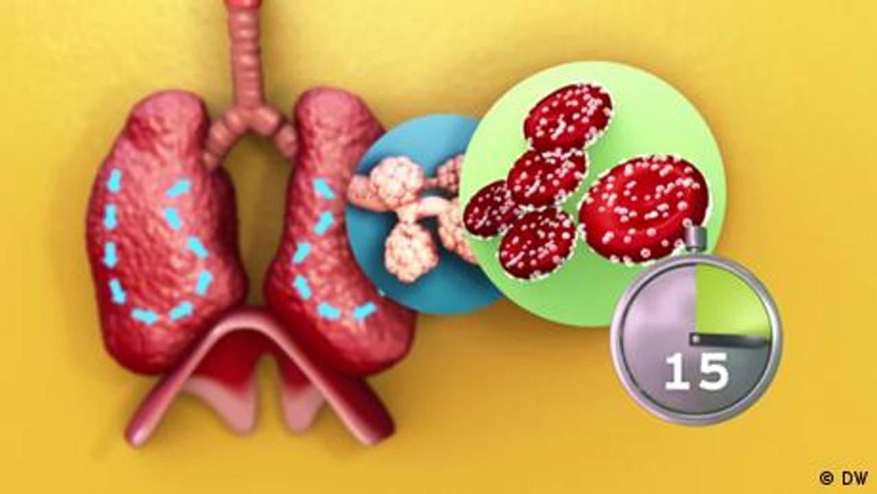 Wie die Atmumg funktioniert