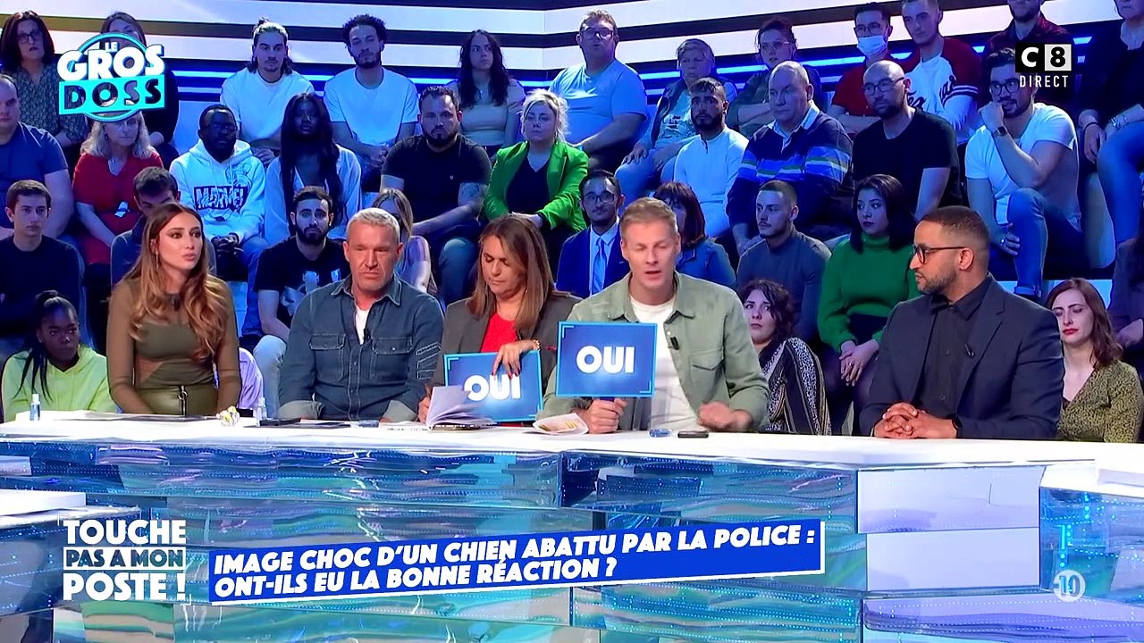 Delphine Wespiser craque et fond en larmes dans "Touche pas à mon poste" après un débat sur la mort d'un chien, tué par des policiers - C8