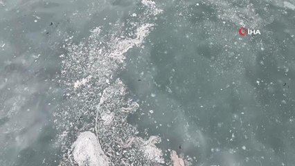 İstanbul'da denizdeki kirlilik böyle görüntülendi