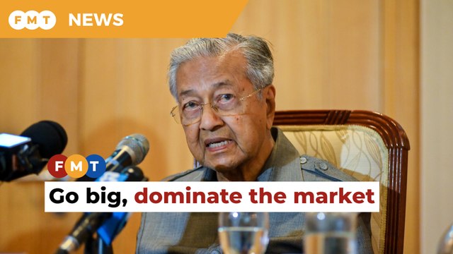 Malaysia should look beyond foreign direct investments to grow the economy, says Mahathir