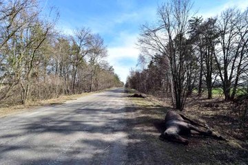 Borodyanka'da enkaz çalışmalarında 26 kişinin cesedine ulaşıldı