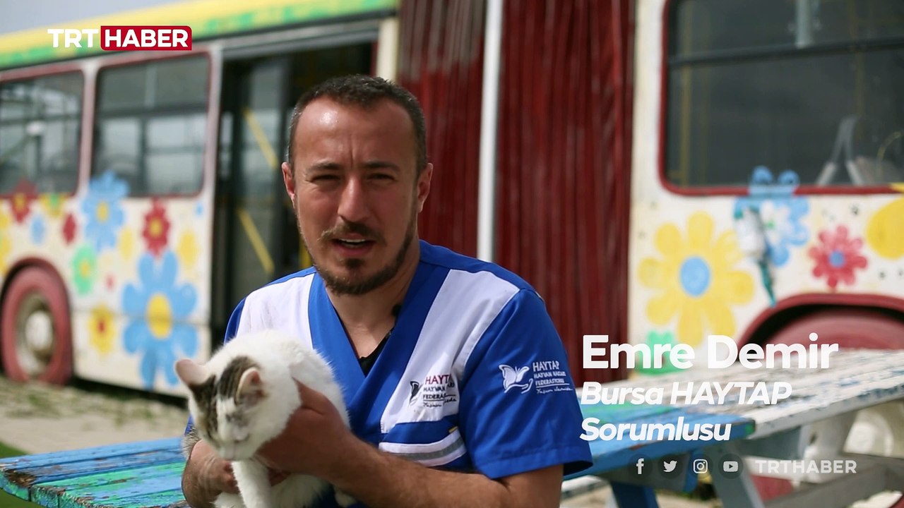 Emektar dostlarımıza vefa yuvası: Emekli Hayvanlar Çiftliği