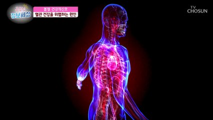 따뜻한 봄철 산책! 혈관 건강을 위협하는 원인이 된다? TV CHOSUN 220408 방송