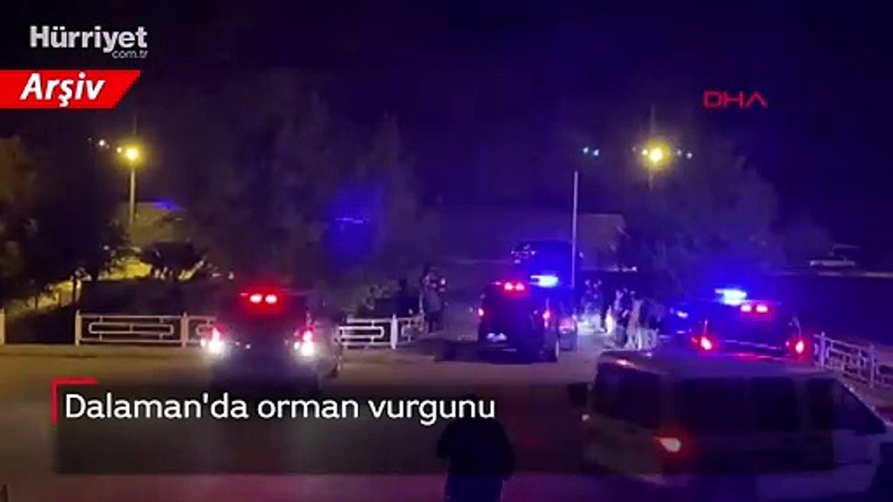 Dalaman'da orman vurgunu