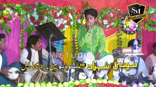 Yaar - Prince Ali New Song- Prince Ali Khan 2022 Song - New and Latest Saraiki Punjab Song