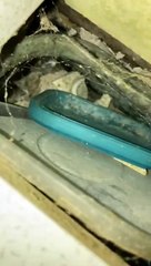 Mould in Staveley council home