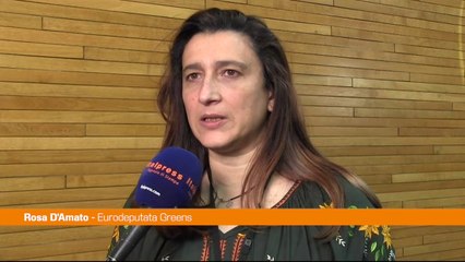 Ue, D’Amato (Greens): "Al via negoziati contro gender gap salariali"