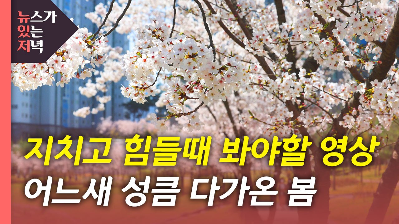 [뉴있저] 전국 곳곳 봄꽃...어느새 다가온 봄 / YTN
