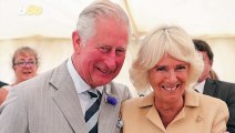 The Reason Queen Elizabeth Skipped Prince Charles and Camilla’s Wedding