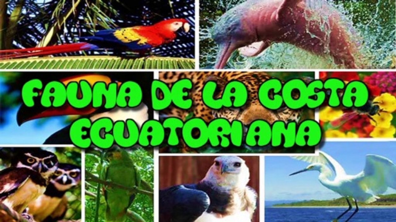 Fauna de la costa Ecuatoriana
