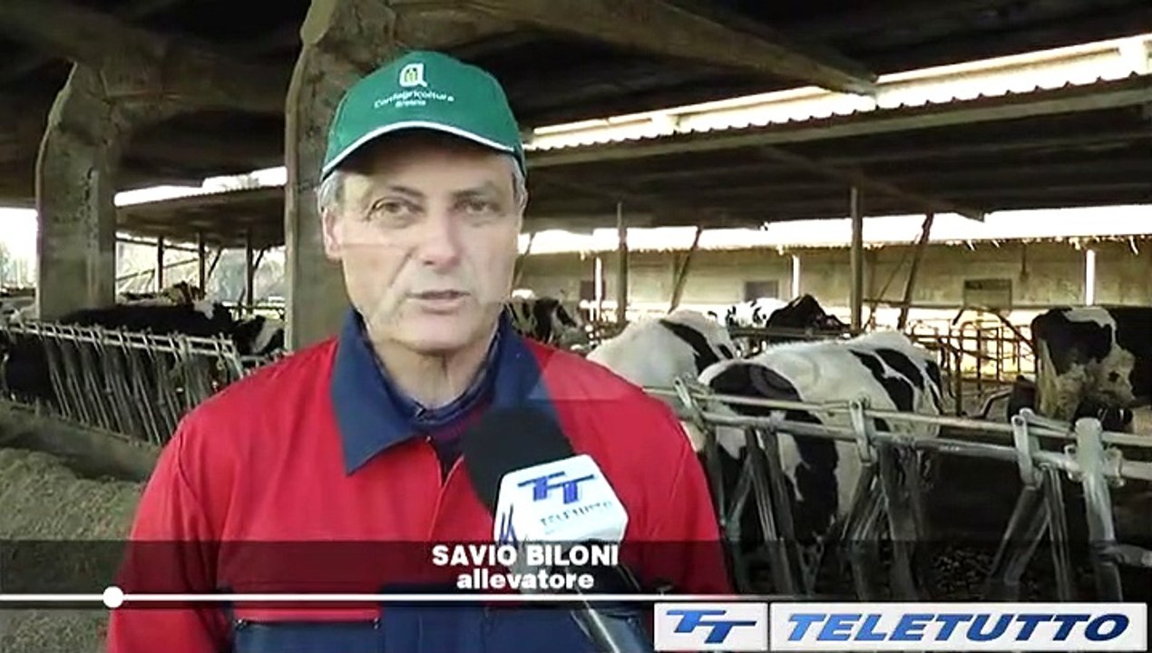Video News - ALLEVAMENTI: RISCHIO MANGIMI