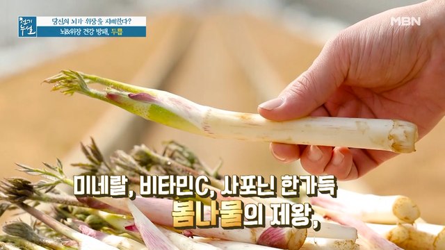 봄나물의 제왕! 뇌&위장 건강 방패 식재료의 정체는?