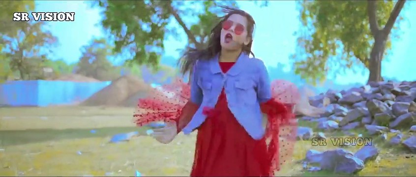 সুখ দিলি না রে পোলা শান্তি দিলিনা - Shuk Dili Na Re Pula Bangla Dance - Dancer By Nupur - SR Vision