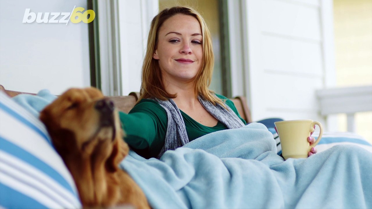 Pet Clean-up Tricks That Will Make Your Life So Much Easier