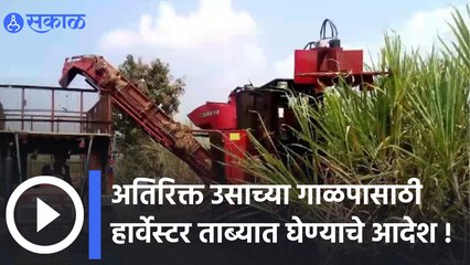 Sugarcane Harvester सुरु असलेल्या कारखान्यांना देण्याचे आदेश | Sugarcane crushing | Sakal Media |