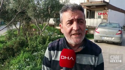 Denizli'de 20 kedi ve köpek ölü bulundu