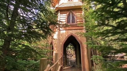 Sneak peek at the new Plotters’ Forest treetop playpark at Raby Castle