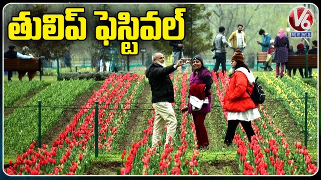 Tulip Garden At Jammu & Kashmir Sees Record Tourist Arrivals | V6 News