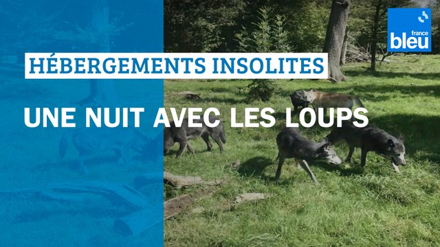 Une nuit avec les loups
