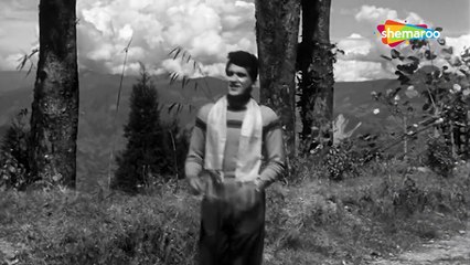 Bol Meri Taqdeer Main Kya Hai _ Hariyali Aur Rasta (1962)_ Manoj Kumar _ Mala Sinha _ Mukesh
