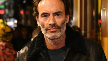 FEMME ACTUELLE - “Ce n’est pas un règlement de compte avec mon père” : Anthony Delon cash sur son autobiographie