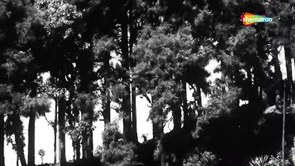 Ye Hariyali Aur Ye Rasta (HD) _ Hariyali Aur Rasta (1962) _  Manoj Kumar _ Mala Sinha