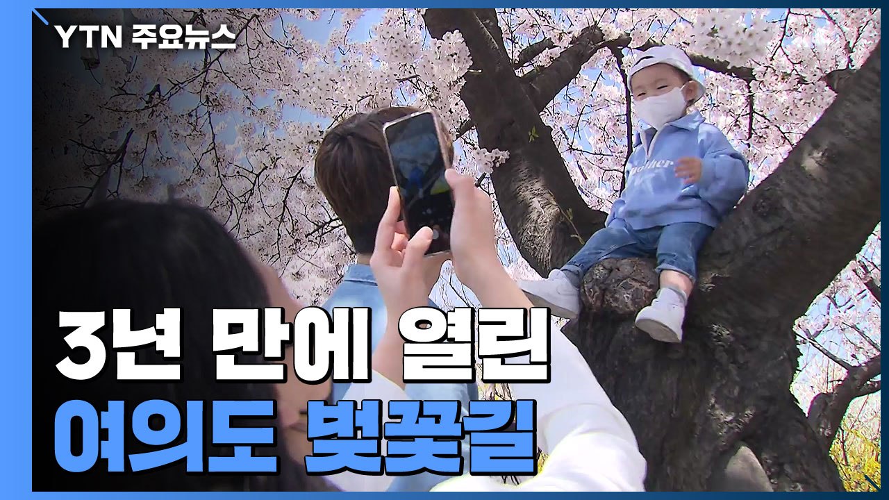 3년 만에 열린 여의도 벚꽃길..."이젠 마스크도 벗어야죠" / YTN