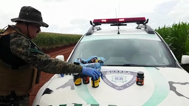 Patrulha Ambiental da GM flagra grande descarte de medicamentos na continuação da Avenida das Pombas