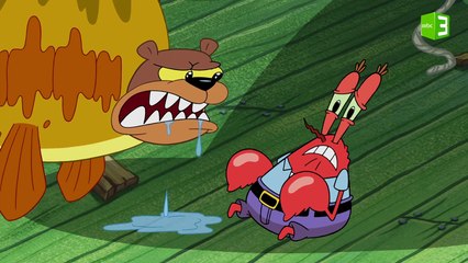 سلطع مهدد من دببة البحر ولكن..