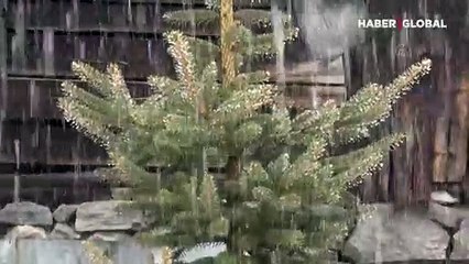 Nisan'da kar yağdı! Her yer beyaza büründü