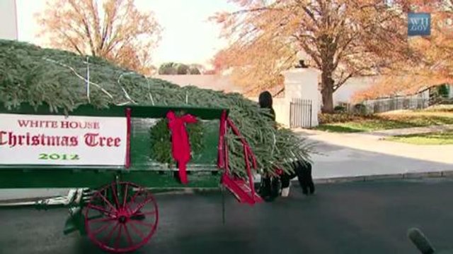 Gala.fr- Michelle Obama reçoit le sapin de Noël 2012 de la Maison Blanche