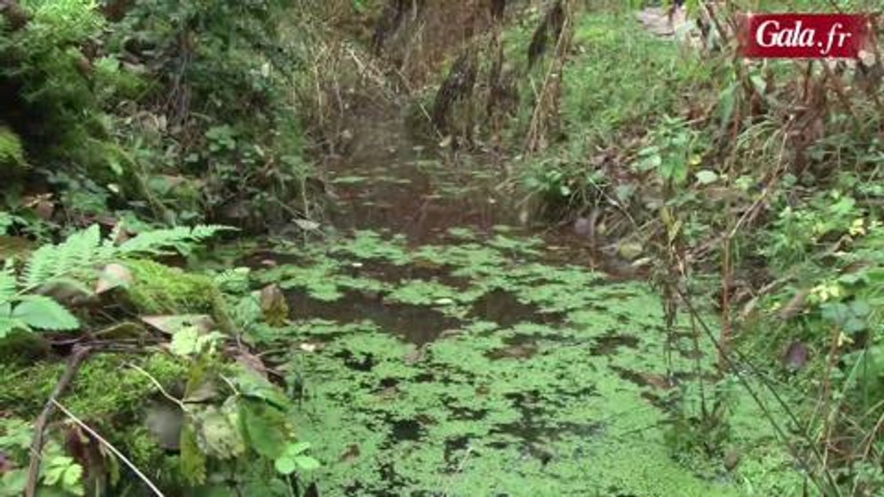 Gala.fr, Chronique du gotha- Marie-Antoinette épisode 3
