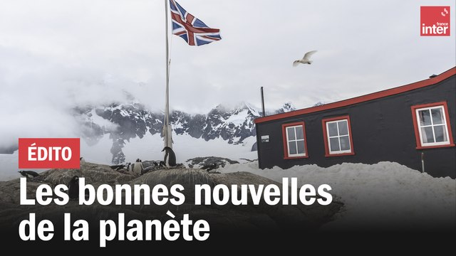 Les bonnes nouvelles de la planète