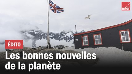 Les bonnes nouvelles de la planète