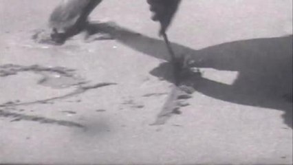 Gala.fr- Beyoncé fait la promotion du Mrs Carter Show au Brésil