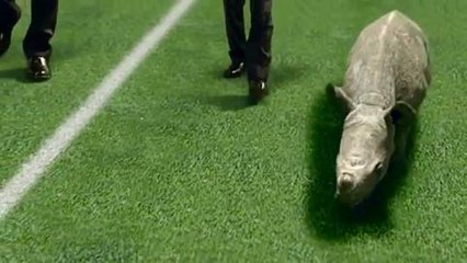 Prince William, David Beckham and Yao Ming for WildAid