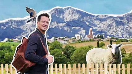 Leclerc Chou Fleur VDEF