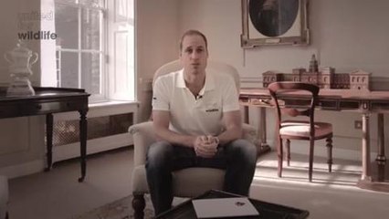 Gala.fr - William et Angry Birds pour United for Wildlife